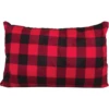 Teton Sports Camp Pillow With Pillow Case